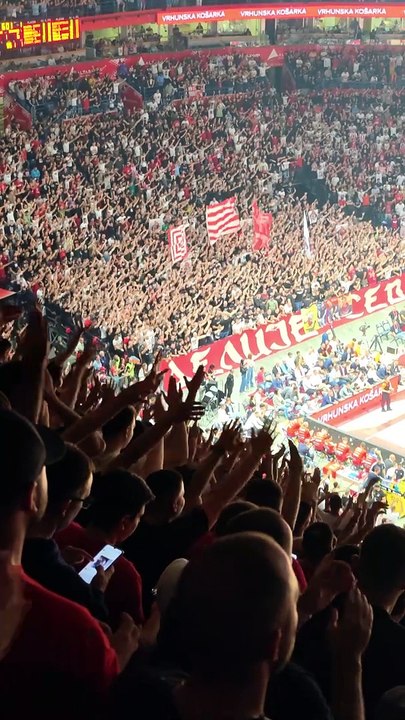 Delije Evroliga #crvenazvezda #basketball #euroleague