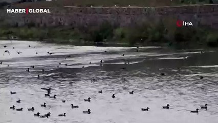 Yüzlercesi akın etti, vatandaş kameraya sarıldı