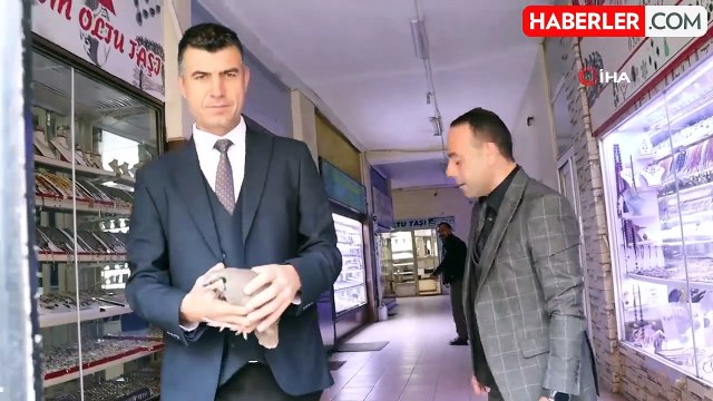 Erzurum'da Çarşıya Sığınan Kınalı Keklik Kurtarıldı