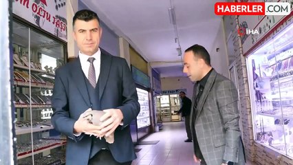 Erzurum'da Çarşıya Sığınan Kınalı Keklik Kurtarıldı