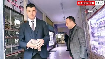 Erzurum'da Çarşıya Sığınan Kınalı Keklik Kurtarıldı