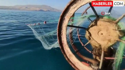 Van Gölü'ndeki İnci Kefali Balıkçılara Umut Veriyor