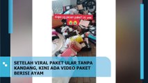 SETELAH VIRAL PAKET ULAR TANPA KANDANG, KINI ADA VIDEO PAKET BERISI AYAM