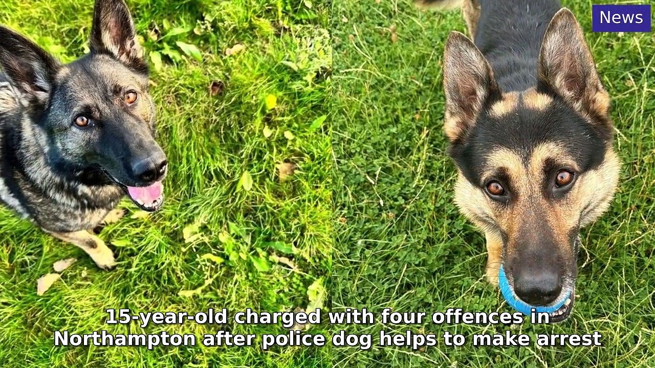 Northampton Chronicle & Echo Morning Update 15 October, 2024