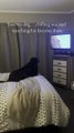 Dog Enjoys His Favourite Movie on Television