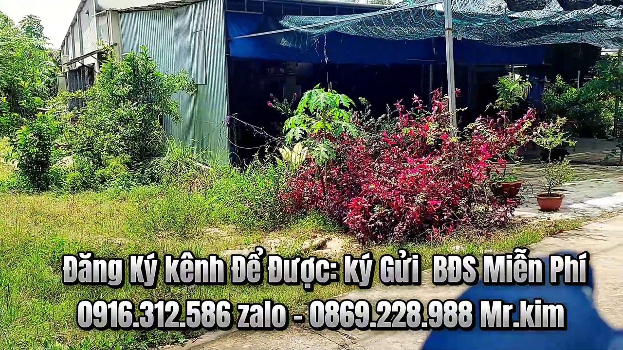 Đất Dầu Tiếng |Cơ hội duy nhất ! Mua 5400m2 đất trung tâm giá siêu rẽ#587