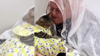 Sokakta bulduğu kediye bebek gibi bakıyor! 82 yaşındaki Rukiye nine...