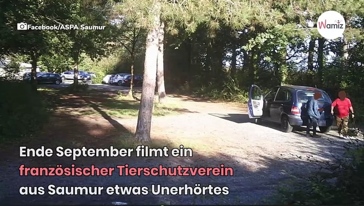 Überwachungskamera filmt Mann am Auto: 14 Stunden später kommt die Wahrheit ans Licht