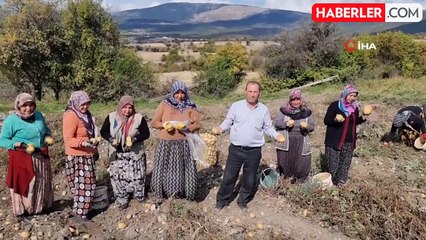 Kütahya'da Çiftçiler Patates Üretimine Yöneldi