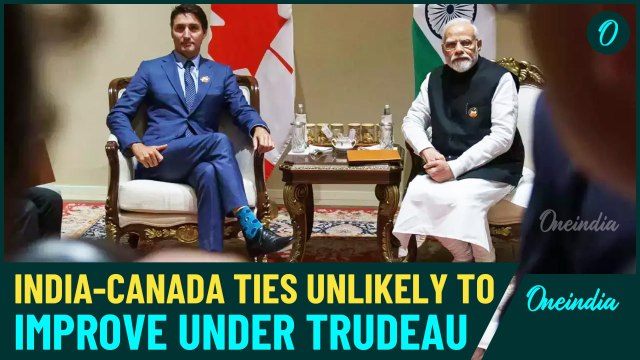 ‘Situation will not improve until…’ Foreign experts talk tough on India-Canada diplomatic row
