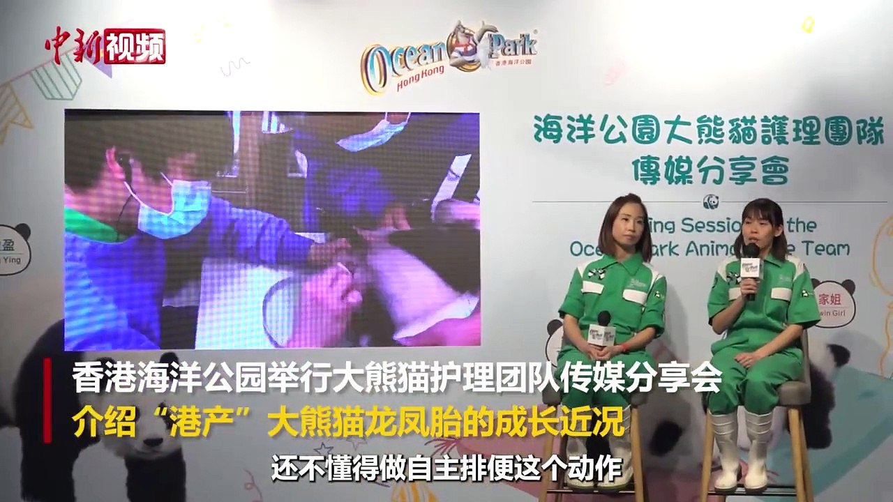 “港产”大熊猫满双月 香港海洋公园公布护理员“带娃”温馨细节-中新网视频
