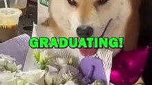 DOG FINALLY GRADUATING! #pets #animalstories #dogs