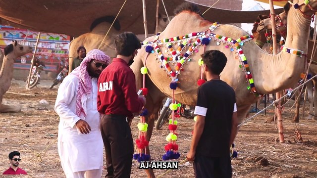 Bakra Eid prank On Mandi, Funny Prank Pakistan India