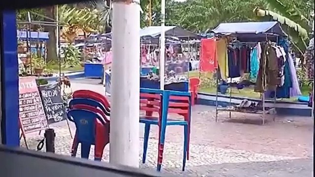 Ataques de abelhas ferem nove pessoas na Baixada e Norte Fluminense