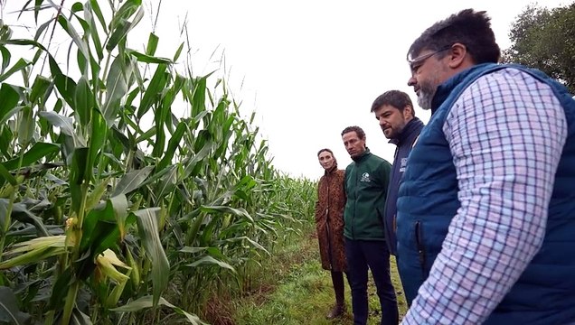 Las granjas que suministran leche a Nestlé reducen más de 43.600 toneladas de CO2 equivalente
