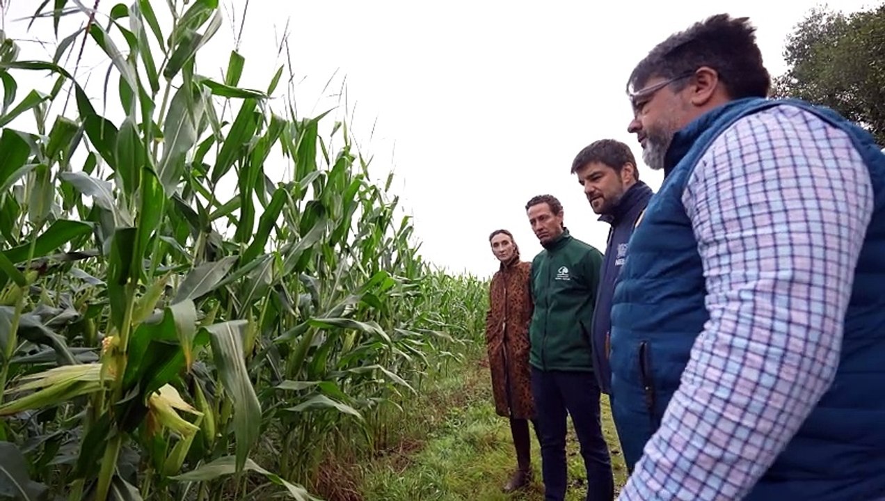 Las granjas que suministran leche a Nestlé reducen más de 43.600 toneladas de CO2 equivalente