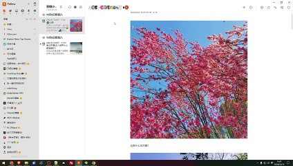 RSS 阅读器推荐 Follow