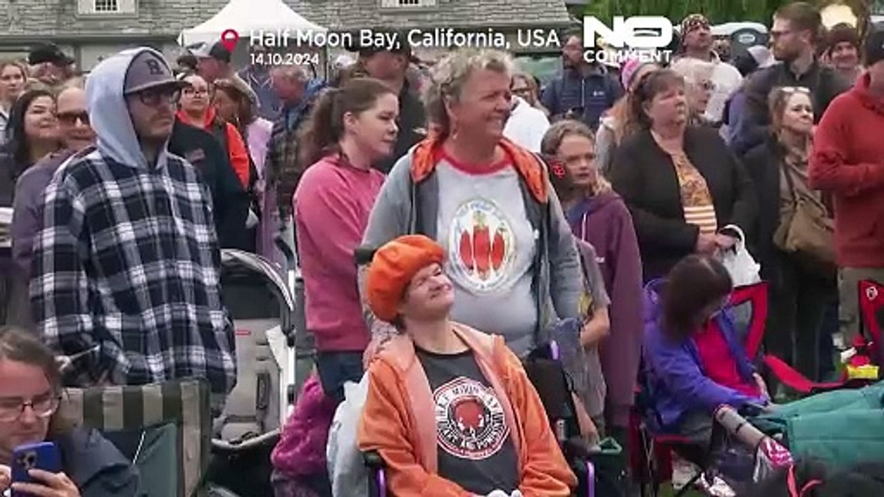 No Comment: California's giant pumpkins