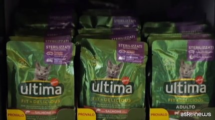 Ultima Petfood al fianco di ENPA per il progetto Affidi Temporanei
