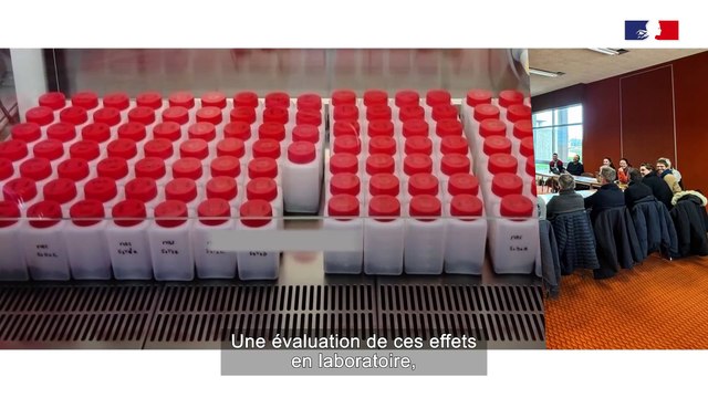 Vidéo 3 : Projet METHABIOSOL « Digestats de méthanisation & biodiversité des sols » : le réseau de fermes