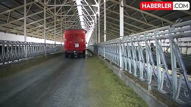 Türkiye'nin ünlü markası Sütçü Yusuf Çiftliği konkordato ilan etti