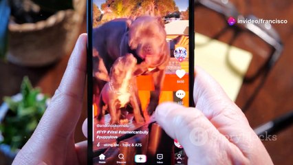 Cómo Ganar Dinero en TikTok; Tácticas para Monetizar tu Talento Creativo