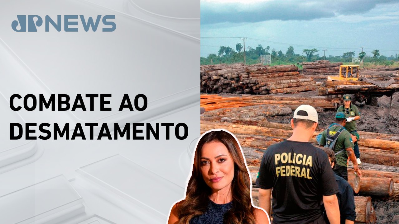 Extração ilegal de madeira cresce 19% na Amazônia; Patrícia Costa analisa