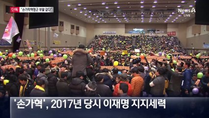 [단독]이재명 ‘손가락혁명군’ 시즌2 부활