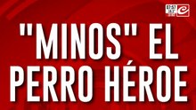 Gracias al perro "Minos" incautaron gran cantidad de droga de una camioneta