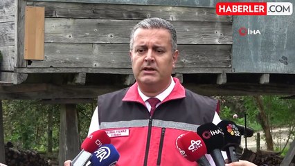 Ordu'da Kahverengi Kokarca Zararlısına Karşı Topyekun Mücadele Başlatıldı