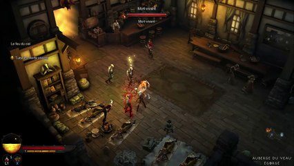 Diablo III online multiplayer - ps3
