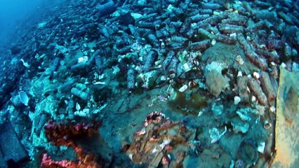 Lago di Faro, ecco i batteri mangiatori di plastica