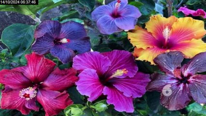 Morning Edition: 14th October 2024