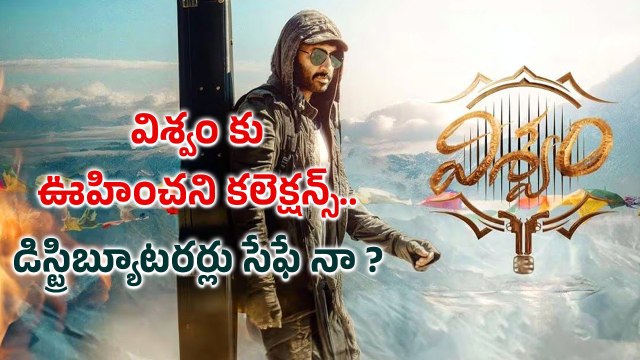 Viswam Boxoffice షాకింగ్ కలెక్షన్స్ ... Gopichand Srinu Vaitla మూవీ కి అదే కలిసొచ్చింది | Filmibeat