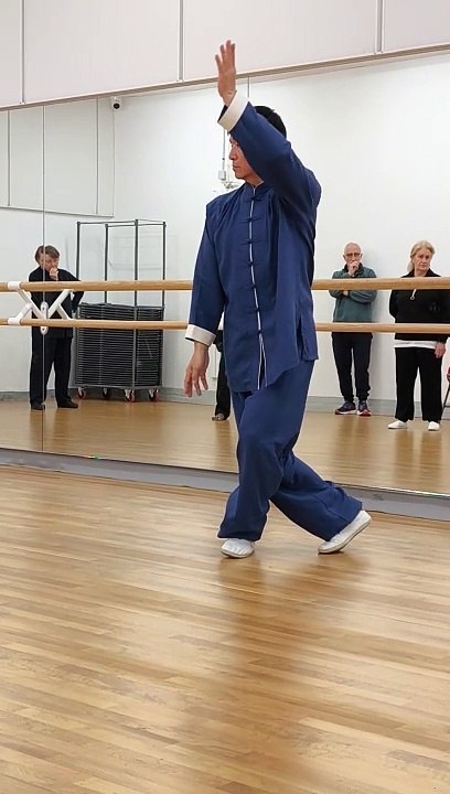 Démonstration de Maître Zhang avec un mélange de tai ji Xinyi, Zhaobao, Chen et Yang