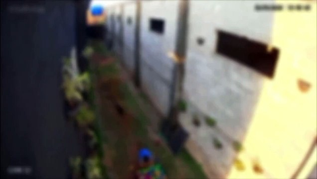 Criança de 9 anos invade hospital veterinário e mata 23 animais