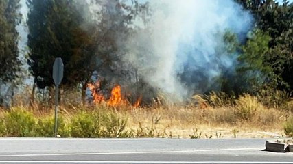 Foça'da orman yangını