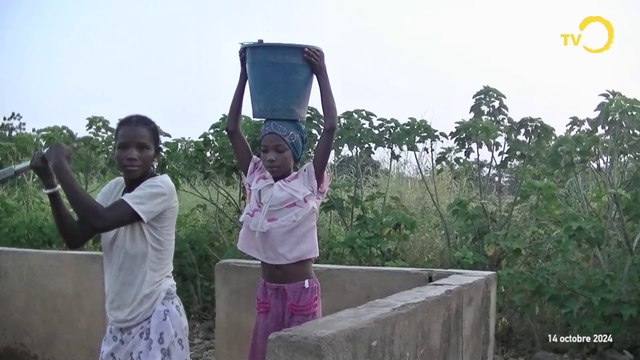 Sujet: L'association Graine de Baobab fête ses 20 ans !