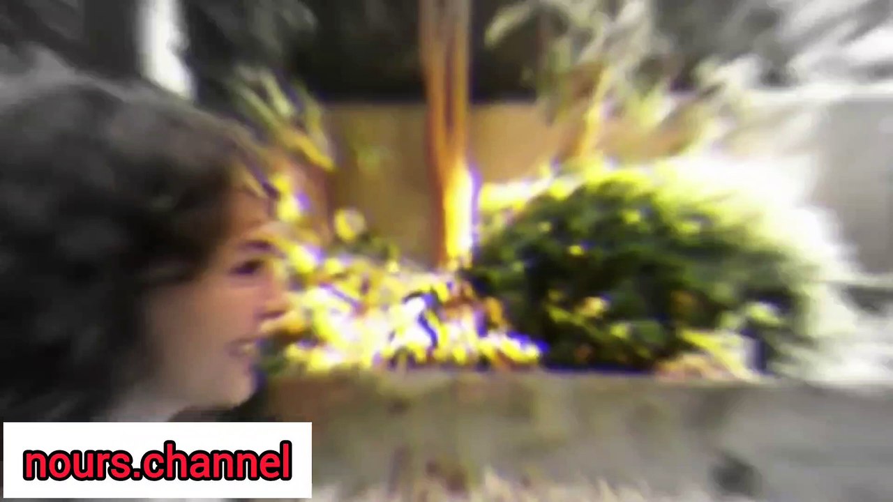 مسلسل الحديقة السرية الحلقة 1