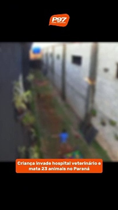 Criança invade hospital veterinário e mata 23 animais no Paraná