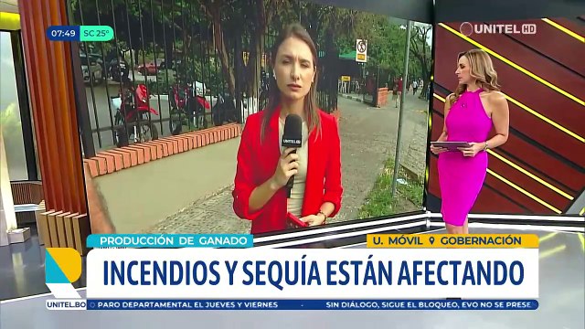 Gobernación cruceña advierte de una pérdida considerable de ganado bovino por falta de forraje