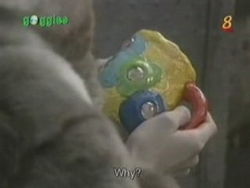 3P 06-2
