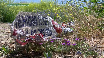 Equipo de Investigación El crimen de la asistenta