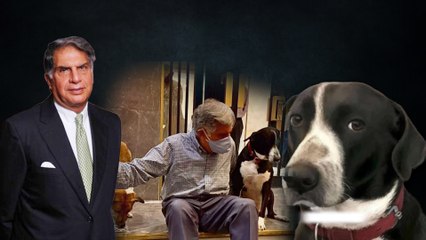 Ratan Tata's Pet Dog Goa Passes Away: रतन टाटा के बाद उनके पालतू डॉग की मौत? मुंबई पुलिस ने बताया सच