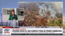 Governo vai enviar PL que aumenta pena de crimes ambientais