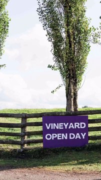 A family-run vineyard in Radnorshire is facing its worst season yet, as a cold summer and regular rainfall has severely impacted their grape crop.