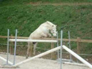 Jumper saut en liberté