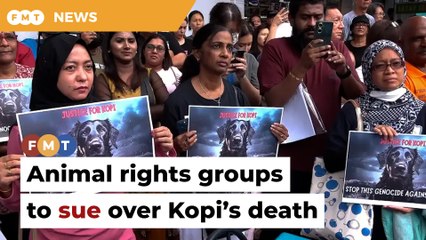 Animal rights groups to sue Besut district council over Kopi’s death