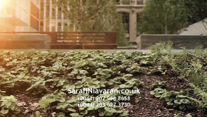 آمار عجیب جلالی از تعداد مربیان فوتبال ایران