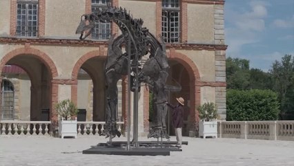 World's Largest Dinosaur Skeleton Set for Auction in France